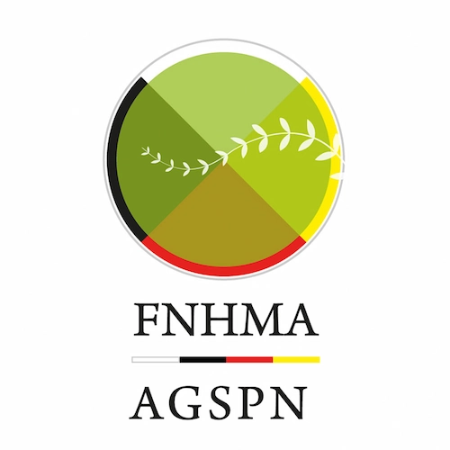 Logo: First Nations Health Managers Association